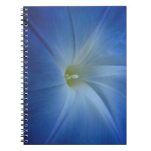 Himmlisches Blue Morning Glory Blume Foto Notizblock