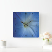 Himmlisches Blue Morning Glory Blume Foto Quadratische Wanduhr (Zuhause)