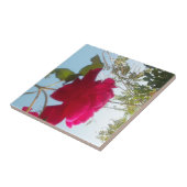 Himmlisches Blut: Eine Rose gegen den Himmel Fliese (Seite)