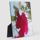 Himmlisches Blut: Eine Rose gegen den Himmel Fotoplatte (Seite)