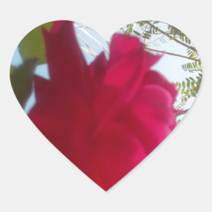 Himmlisches Blut: Eine Rose gegen den Himmel Herz-Aufkleber