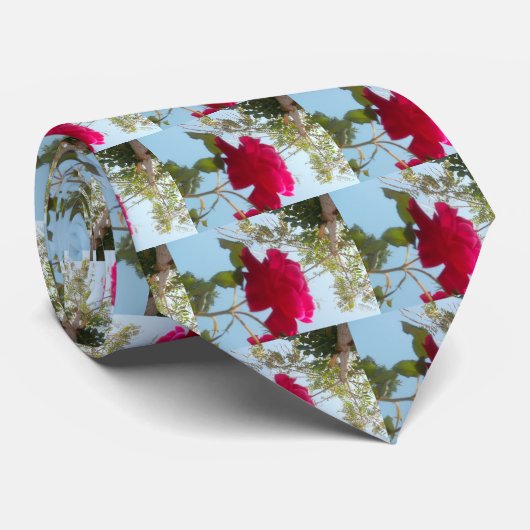 Himmlisches Blut: Eine Rose gegen den Himmel Krawatte (Gerollt)