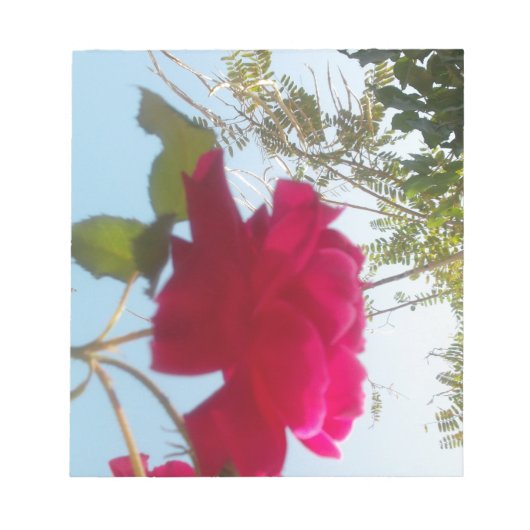 Himmlisches Blut: Eine Rose gegen den Himmel Notizblock (Vorderseite)