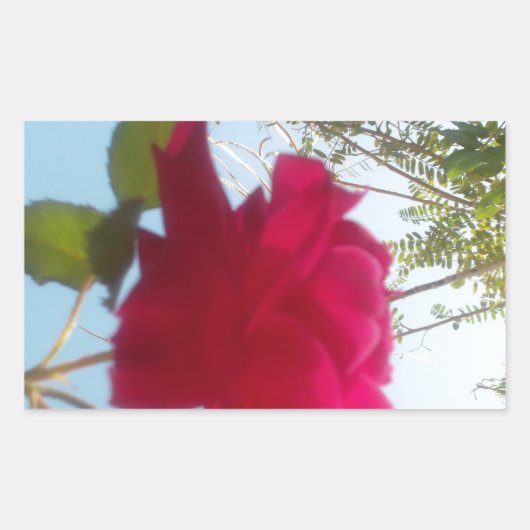Himmlisches Blut: Eine Rose gegen den Himmel Rechteckiger Aufkleber (Vorderseite)
