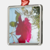 Himmlisches Blut: Eine Rose gegen den Himmel Silbernes Ornament (Links)