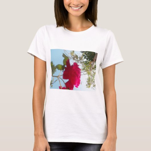 Himmlisches Blut: Eine Rose gegen den Himmel T-Shirt (Vorderseite)