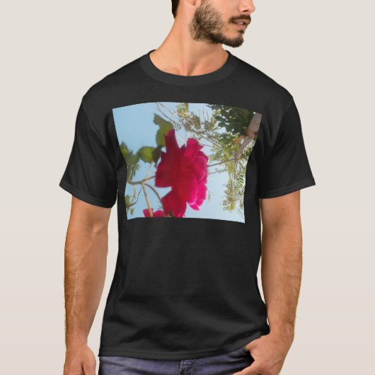 Himmlisches Blut: Eine Rose gegen den Himmel T-Shirt (Vorderseite)