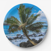 Hin und her... pappteller (Vorderseite)