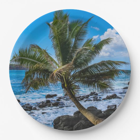 Hin und her... pappteller (Vorderseite)