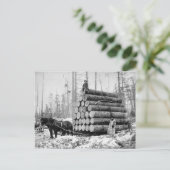Hin- und Herschleppen von Logs, 1908 Postkarte (Stehend Vorderseite)
