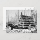 Hin- und Herschleppen von Logs, 1908 Postkarte (Vorne/Hinten)