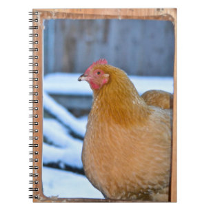 Hin- und Rücken in Coop Doorway Notebook Notizblock