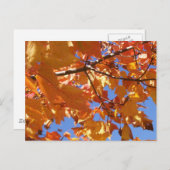 Hin zum Himmel Postkarte (Vorne/Hinten)