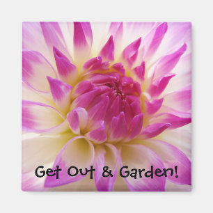 Hinausgehen & Garten! Magnet Weiße Rosa Dahlie
