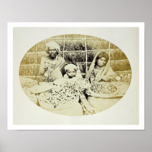 Hindische Gemüse-und Frucht-Verkäufer in Madras, Poster