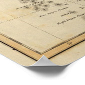 Hindoostan 5 poster (Ecke)