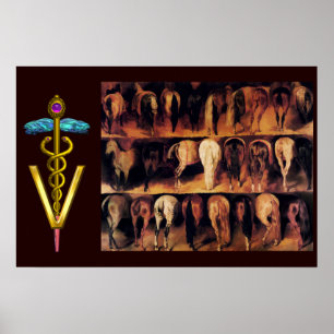 Hindquartier/CADUCEUS VETERINÄRSYMBOL Poster