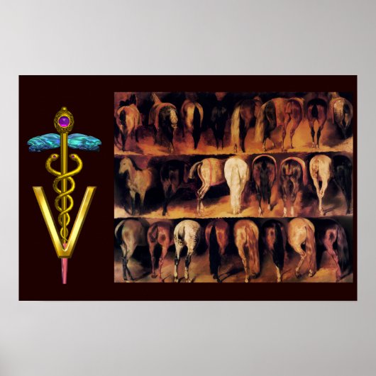 Hindquartier/CADUCEUS VETERINÄRSYMBOL Poster (Vorne)