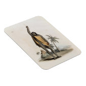 Hindu Priest, Pub. von Edward Orme, 1804 (litho) Magnet (Rechte Seite)