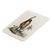 Hindu Priest, Pub. von Edward Orme, 1804 (litho) Magnet (Linke Seite)