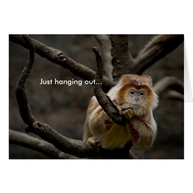 Hing einfach nur ab... (Vorderseite (Horizontal))