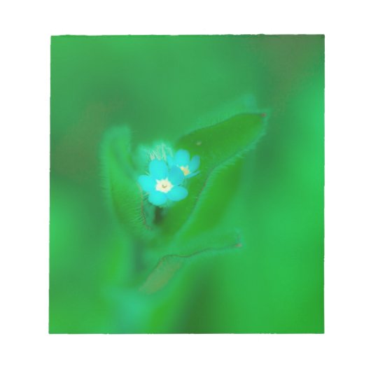 Hint Blau Notizblock (Vorderseite)