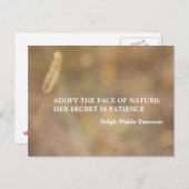 "Hint der Natur" Fotografiekunst mit Zitat Postkarte (Vorne/Hinten)