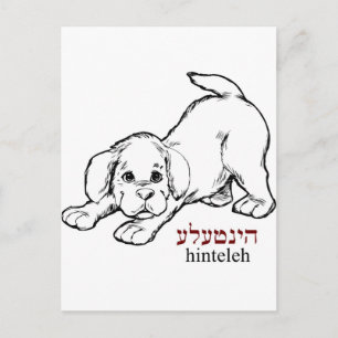 "Hinteleh"-Welpe Postkarte