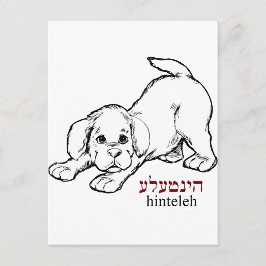 "Hinteleh"-Welpe Postkarte (Vorderseite)