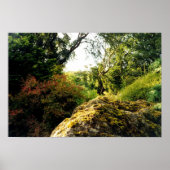 Hinter Blarney Poster (Vorne)