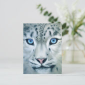Hinter blauen Augen - Schneeleopard Postkarte (Stehend Vorderseite)