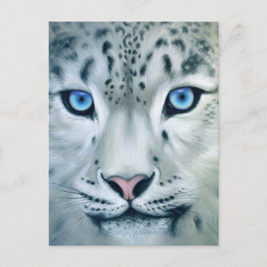 Hinter blauen Augen - Schneeleopard Postkarte (Vorderseite)