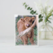 hinter dem Schwanz von Mama Postkarte (Stehend Vorderseite)