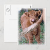 hinter dem Schwanz von Mama Postkarte (Vorne/Hinten)
