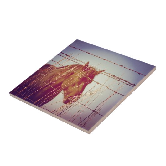 Hinter dem Zaun Abstrakt Fliese (Seite)