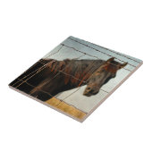 Hinter dem Zaun, abstraktes Pferd Fliese (Seite)