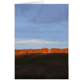 Hinter den Dünen von Southwold