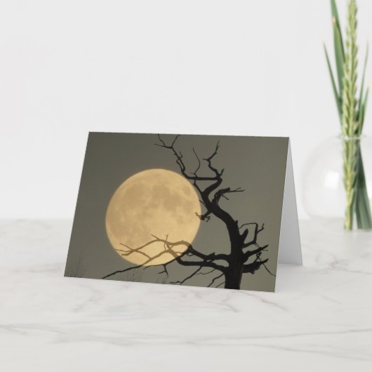 Hinter Karte (Vorderseite)