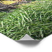 Hinteransicht Poster (Ecke)