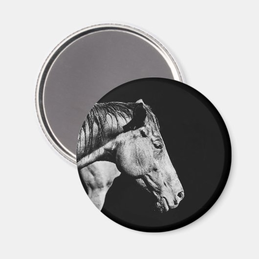 Hinterbein Magnet (Vorderseite/Rückseite)