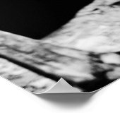 Hinterbein Poster (Ecke)