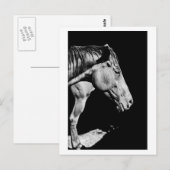 Hinterbein Postkarte (Vorne/Hinten)