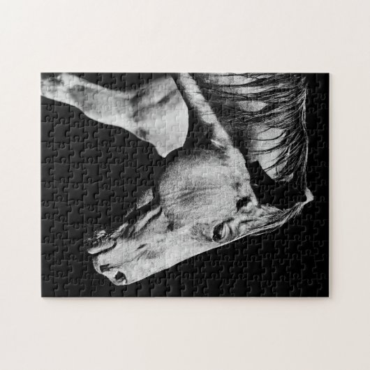 Hinterbein Puzzle (Horizontal)
