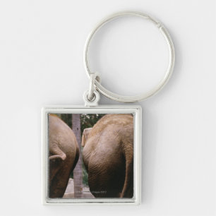 Hintere Ansicht der asiatischen Elefanten Schlüsselanhänger