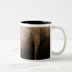 Hintere Ansicht der asiatischen Elefanten Zweifarbige Tasse