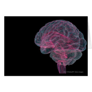 Hintere Ansicht des menschlichen Gehirns