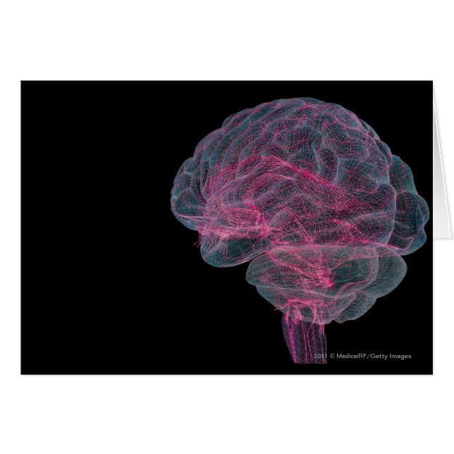 Hintere Ansicht des menschlichen Gehirns (Vorderseite (Horizontal))