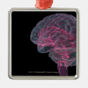 Hintere Ansicht des menschlichen Gehirns Silbernes Ornament