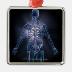 Hintere Ansicht eines menschlichen Skeletts Silbernes Ornament