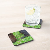 Hintere Ansicht von zwei Dackelhunden Untersetzer (Rechte Seite)